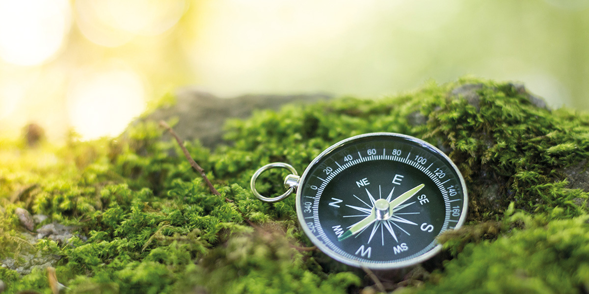 Förderkompass